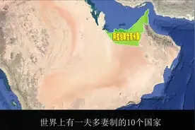 世界上存在一夫多妻制的10个国家，尼日利亚可以娶84个？视频封面