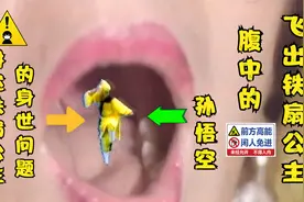 1、为何铁扇公主被人们称为罗刹女？你看她跟地藏菩萨是啥关系！视频封面
