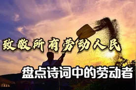 赞美劳动者的诗词｜追光的人，自己也将光芒万丈视频封面