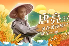 我们村：走进中国黄花菜之乡，带你了解黄花菜的前世今生视频封面