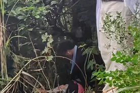深圳一游客在梧桐山登山道旁树林发现一名瘫倒女子，已送医视频封面