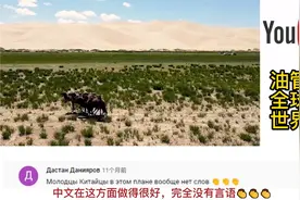 中国人发明草方格将沙漠变成绿洲，老外：这是人类治沙史上的奇迹视频封面