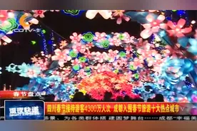 四川春节接待游客4300万人次，成都入围春节旅游十大热点城市视频封面