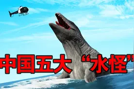 中国五大水怪！第一名太过神秘，尼斯基水怪见了也得喊“大哥”！视频封面