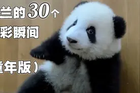 萌兰30个精彩瞬间【童年版】两岁以前的萌兰，么么儿时期30个片段视频封面