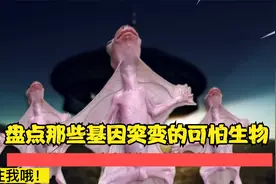 基因突变有多可怕？盘点那些基因突变的可怕生物！视频封面