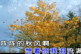 孙露《爱走了心碎了》经典老歌 听到掉眼泪 百听不厌视频封面