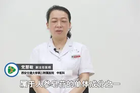 中医副主任：霜桑叶的作用与功效，降血脂，降血压视频封面