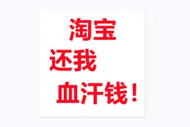 不法分子和支付宝官方以及千牛APP强取豪夺了我的血汗钱！视频封面