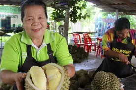 泰国榴莲为什么这么便宜？为何榴莲是暴利，泰国朋友道出真相视频封面