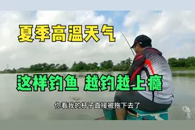 夏季高温鱼不好钓？老钓友分享一个实招，绝对让你越钓越上瘾视频封面