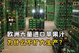 欧洲国家大量进口苹果汁，为什么不去扩大生产？这有什么原因？视频封面