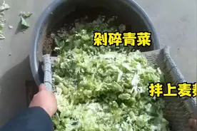 农村小伙剁碎青菜，撒上麦麸搅拌喂鹅，大鹅吃得挺厉害视频封面