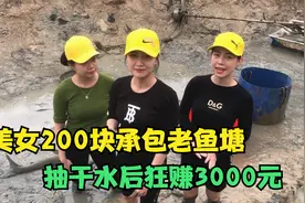 广西美女200块包下老鱼塘，本想体验捕鱼乐趣，怎料狂赚3000元视频封面