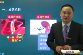 贫血的3种分类及原因，溶血性贫血发病机制及临床表现，检查治疗视频封面