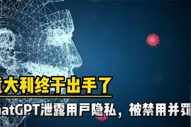意大利终于出手了，人工智能？泄露用户隐私，禁用视频封面