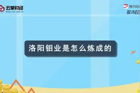 洛阳钼业[603993]视频封面