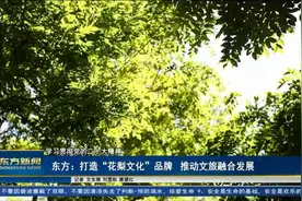 海南东方：打造“花梨文化”品牌  推动文旅融合发展视频封面