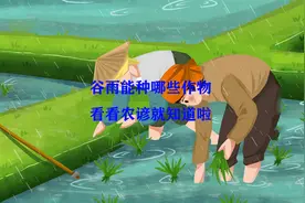 谷雨适合种哪些作物，看看农谚就知道啦，要提前做准备视频封面