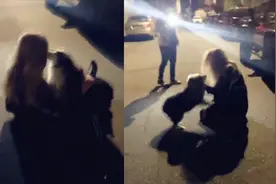 感动！实拍：美国租飞机寻爱犬女子如愿以偿 和爱犬相逢欣喜若狂视频封面