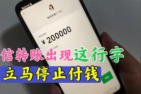 微信转账时出现这行字，谨慎输入密码付钱视频封面