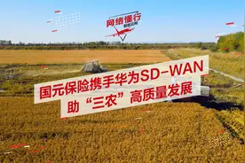 网络懂行 | 国元保险携手华为SD-WAN，助力三农高质量发展视频封面