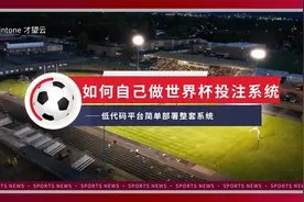 世界杯你投注了吗？教你用低代码平台简单实现完整的投注系统视频封面