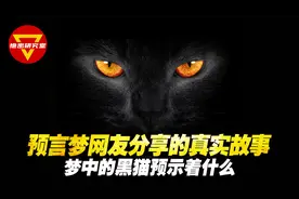 预言梦 网友分享的真实故事 梦中的黑猫预示着什么视频封面