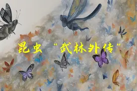 昆虫在自然界中拥有哪些自我保护机制？视频封面