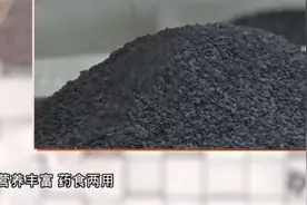 黑芝麻，营养丰富，药食两用！血糖高的人能吃吗？视频封面