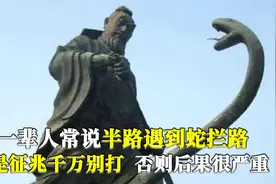 农村老人常说：半路遇到蛇拦路千万别打，后果很严重！是真的吗？视频封面