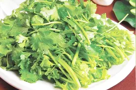 不适合吃香菜的三种人，看看有你么视频封面