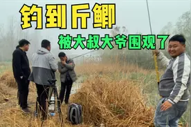 晚上11点打十个窝点，朋友找我钓鱼拿个水桶，钓到斤鲫被大叔围观视频封面