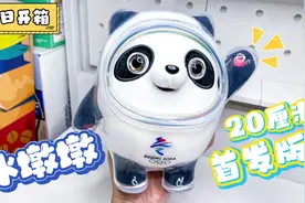 人气顶流首发版吉祥物冰墩墩毛绒玩具，可爱20厘米冰墩墩毛绒玩偶