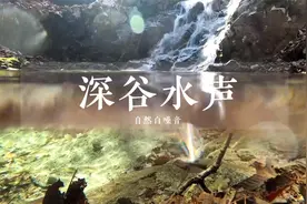 【放松减压】2小时深谷水声、鸟声，净化心宁，深度睡眠视频封面