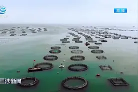 自然资源部印发国土空间用地用海分类指南视频封面