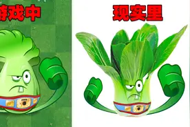 游戏里VS现实中！提问：地刺是啥植物？视频封面