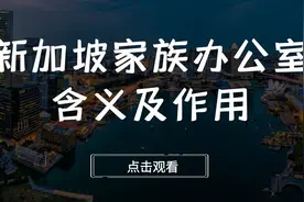 【新加坡公司注册】新加坡家族办公室含义及作用视频封面