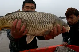 兄弟2人合力擒拿“巨物”，刚出水那一幕不淡定了，这次发财了视频封面
