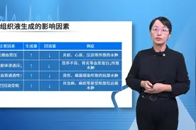人体生理学：血液循环-4.13 组织液的生成及影响因素视频封面