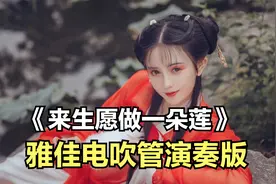 电吹管演奏《来生愿做一朵莲》，静心之曲，无限循环！视频封面