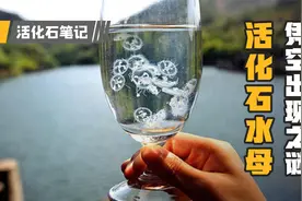 6亿年前的水体质检员，桃花水母为什么总是凭空出现？视频封面