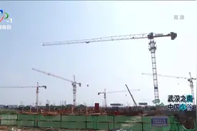 江夏区全力推进武汉大学中小企业总部基地建设视频封面