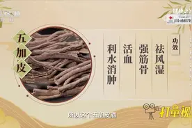 水湿重、肝肾不足？专家推荐一种酒，可利水消肿好处多|健康之路视频封面