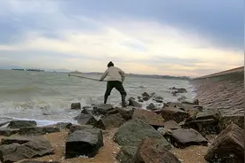 海边浪大卷来一堆海草，里面裹着破渔网还有鱼，白捡到这些还不错视频封面