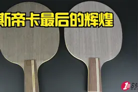 解析许昕手板-「斯帝卡蓝标」混双失利，蓝标依旧最强直拍么？视频封面