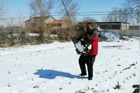智障孩子力气真大呀，挺大的木头墩子，一百多米外搬过来不费劲视频封面