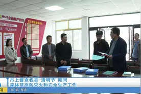 市上督查崇信县“清明节”期间森林草原防灭火和安全生产工作视频封面