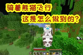 我的世界：制作一个能控制一切的鞍，所有生物都能控制？视频封面