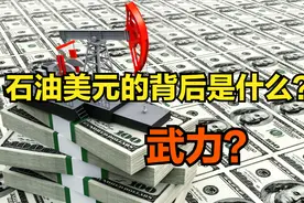 为啥全世界的石油都要用美元结算？石油美元地位是用武力保证的吗视频封面